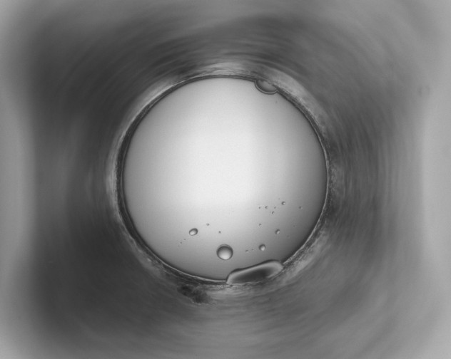 X0000101391426200807211004