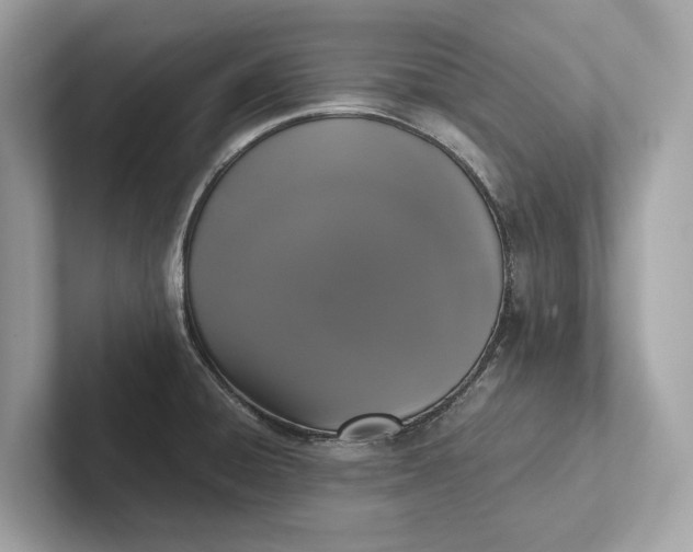 X0000101391428200807211004