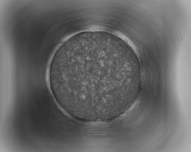 X0000101391429200807211004