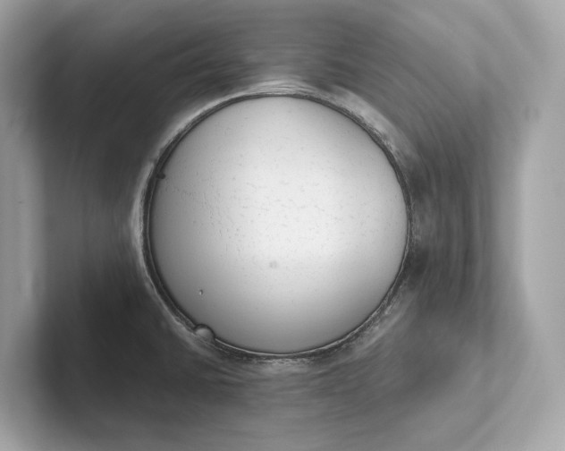 X0000101391430200807211004