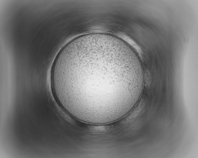 X0000101391431200807211004