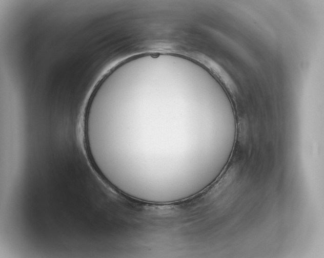 X0000101391432200807211004