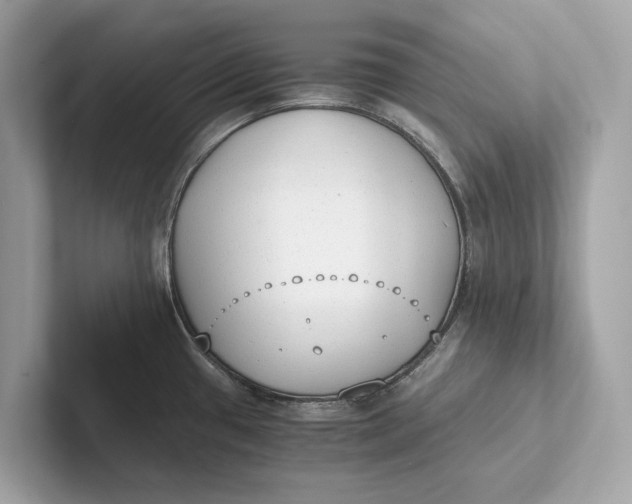 X0000101391433200807211004