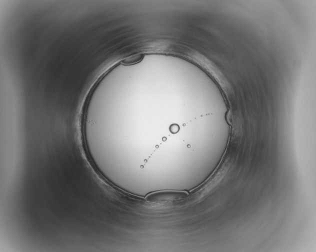 X0000101391434200807211004