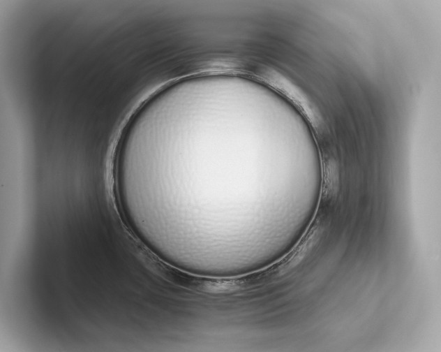 X0000101391435200807211004