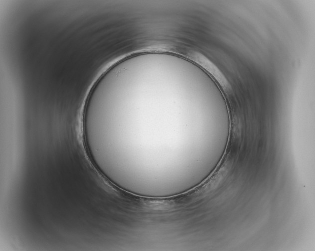 X0000101391436200807211004