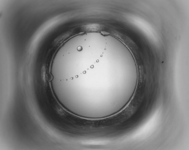 X0000101391438200807211004