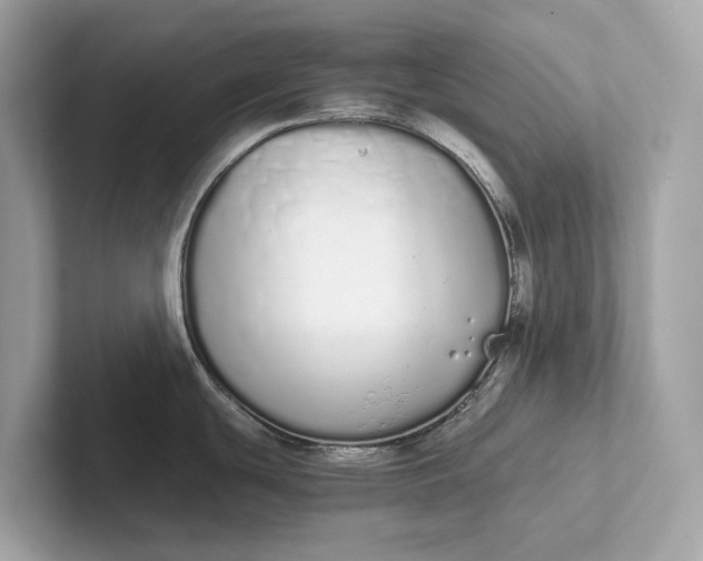 X0000101391439200807211004