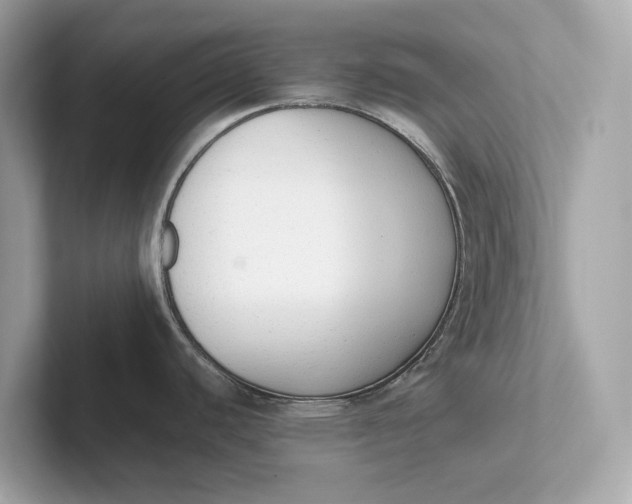 X0000101391440200807211004