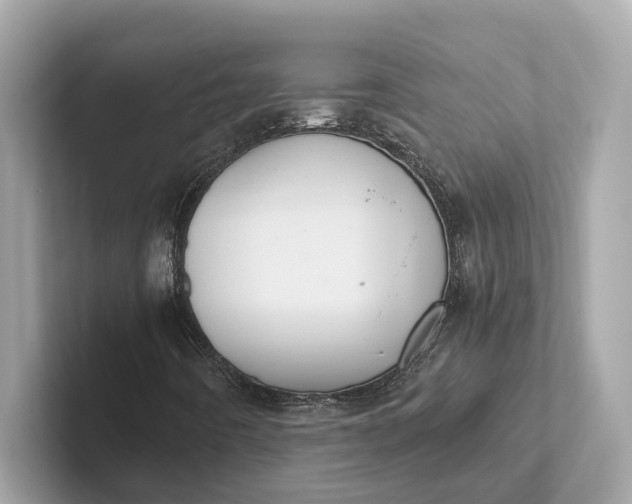 X0000101391442200807211003