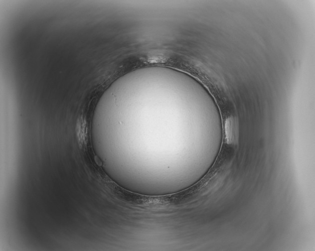 X0000101391443200807211003