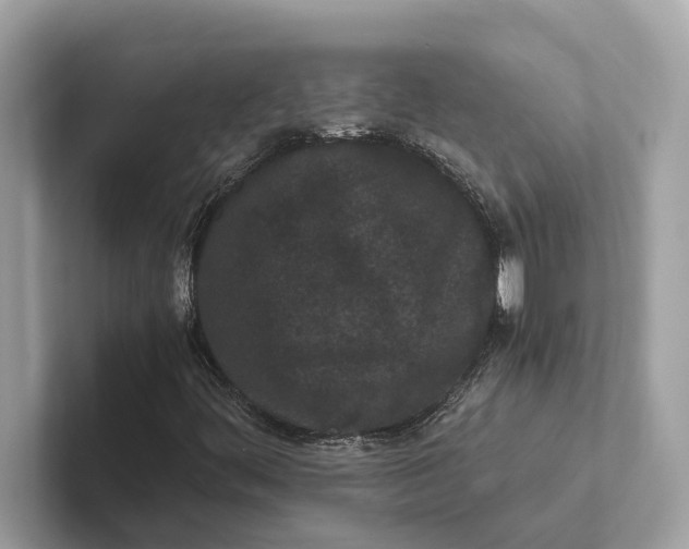 X0000101391444200807211003