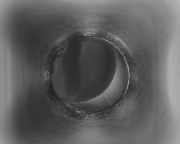 X0000101391445200807211003