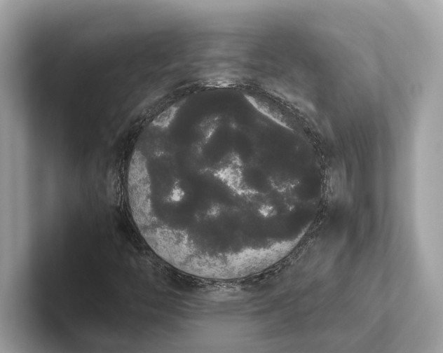 X0000101391446200807211003