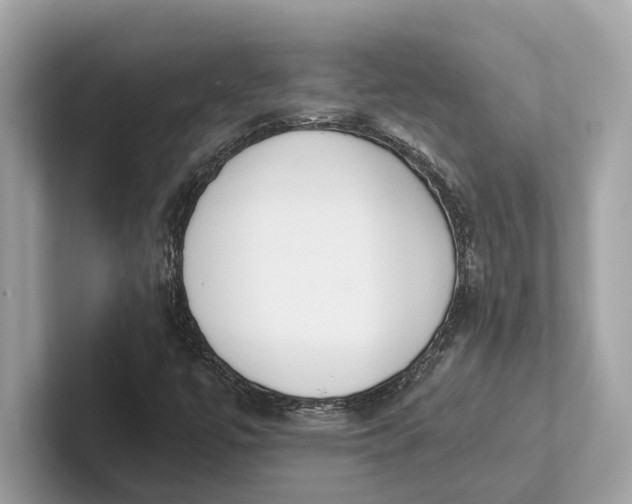 X0000101391447200807211003