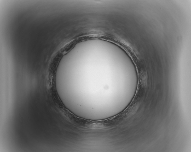 X0000101391448200807211003