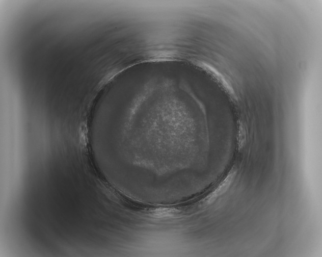 X0000101391449200807211003