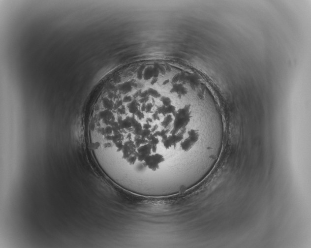 X0000101391450200807211003