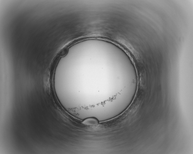 X0000101391452200807211003