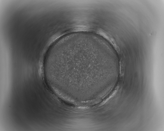 X0000101391453200807211003