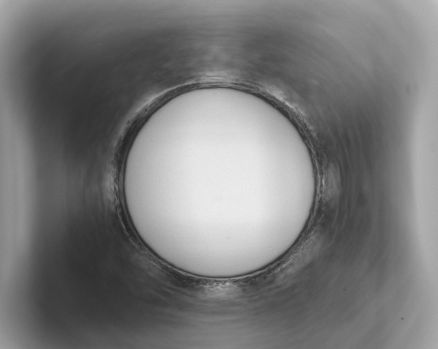 X0000101391454200807211003