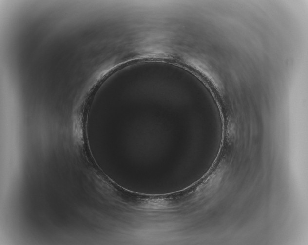 X0000101391455200807211003