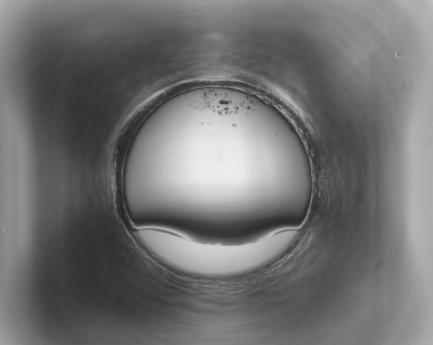 X0000101391456200807211003