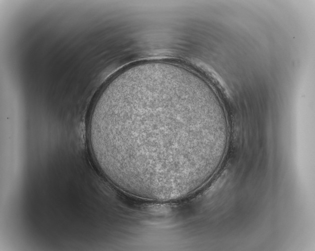 X0000101391457200807211003