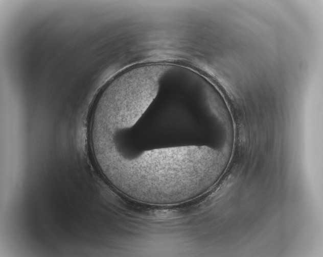 X0000101391459200807211003