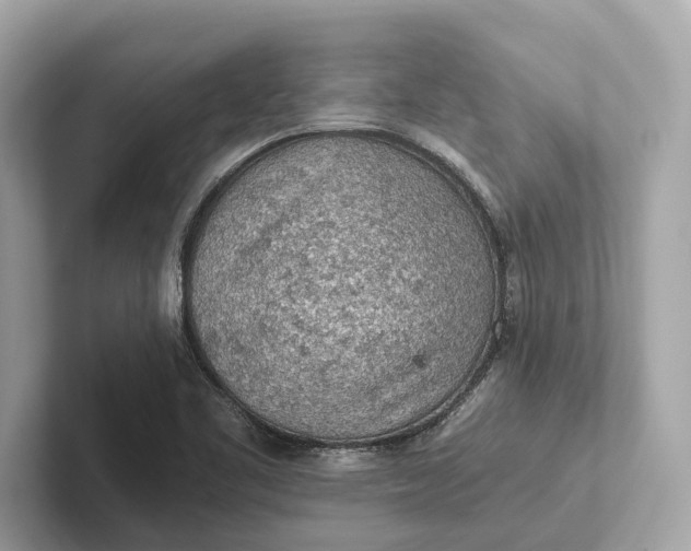 X0000101391461200807211003