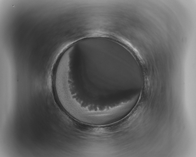 X0000101391463200807211003