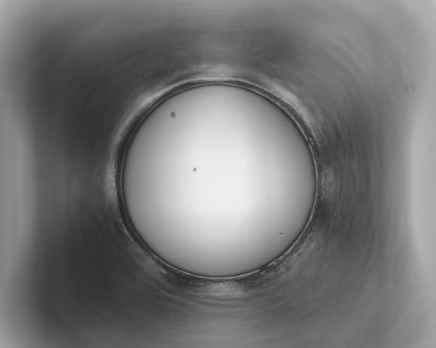 X0000101391464200807211003