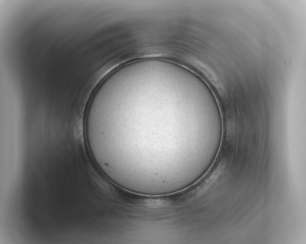 X0000101391465200807211003