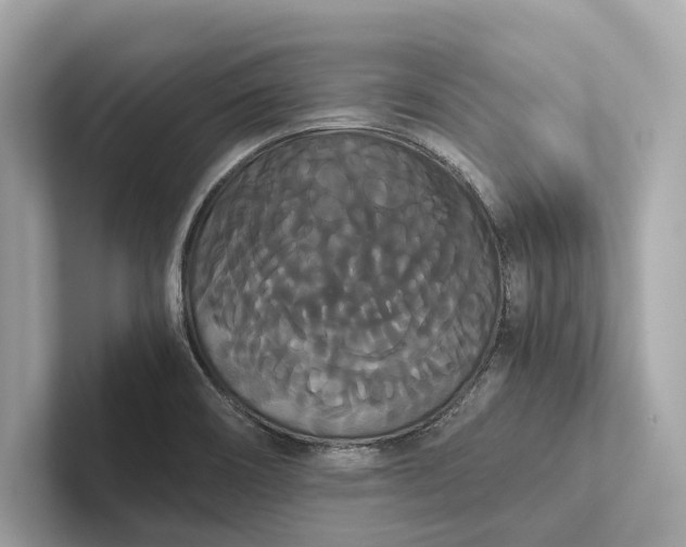 X0000101391466200807211003