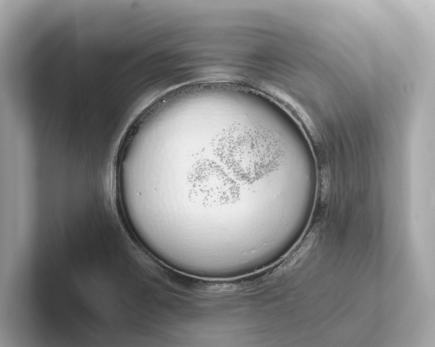 X0000101391467200807211003