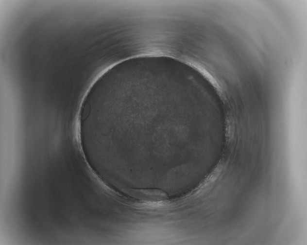 X0000101391468200807211003