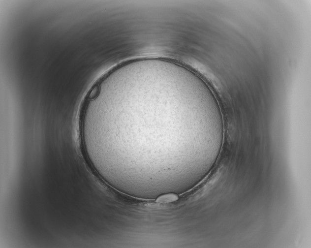 X0000101391469200807211003