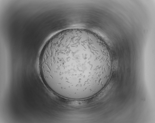 X0000101391470200807211003