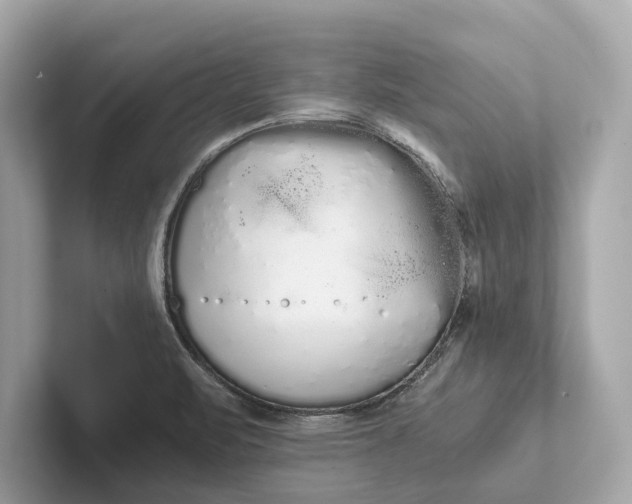 X0000101391471200807211003