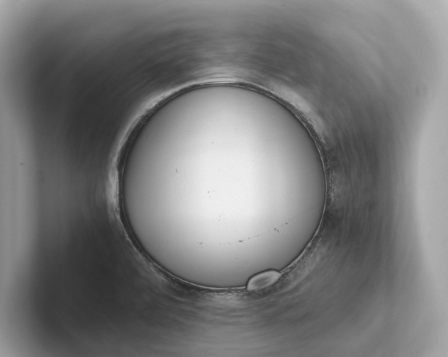 X0000101391472200807211003