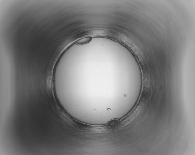 X0000101391473200807211003