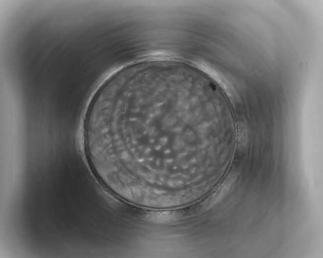 X0000101391474200807211003