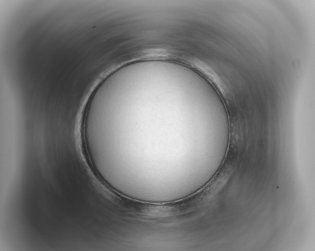 X0000101391475200807211003