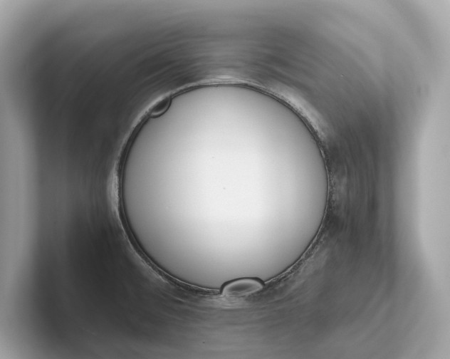 X0000101391476200807211003