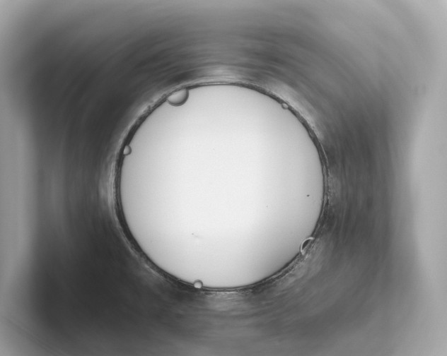 X0000101391477200807211003