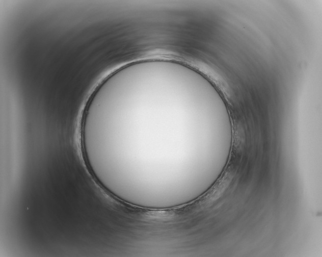 X0000101391478200807211003