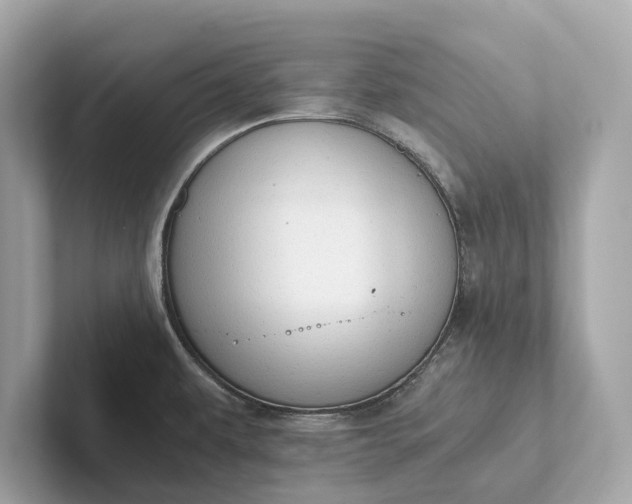 X0000101391479200807211003