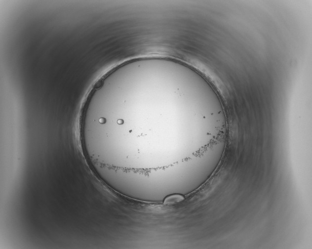 X0000101391480200807211003