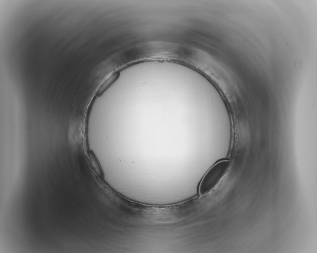 X0000101391481200807211003