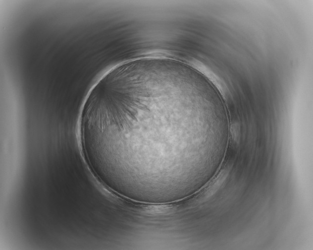 X0000101391482200807211003